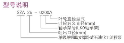 ZE型石油化工流程泵型號說明